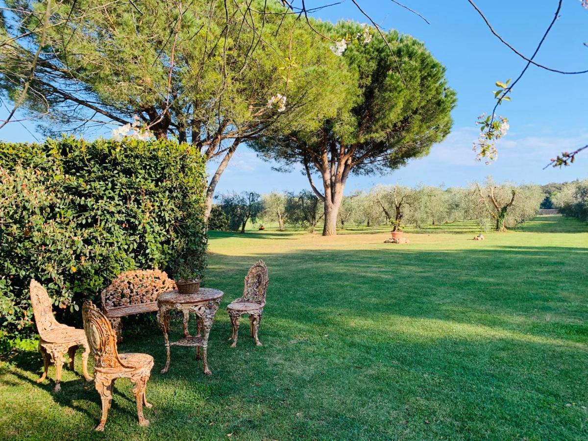 B&B Valle D'Oro Ansedonia Ngoại thất bức ảnh