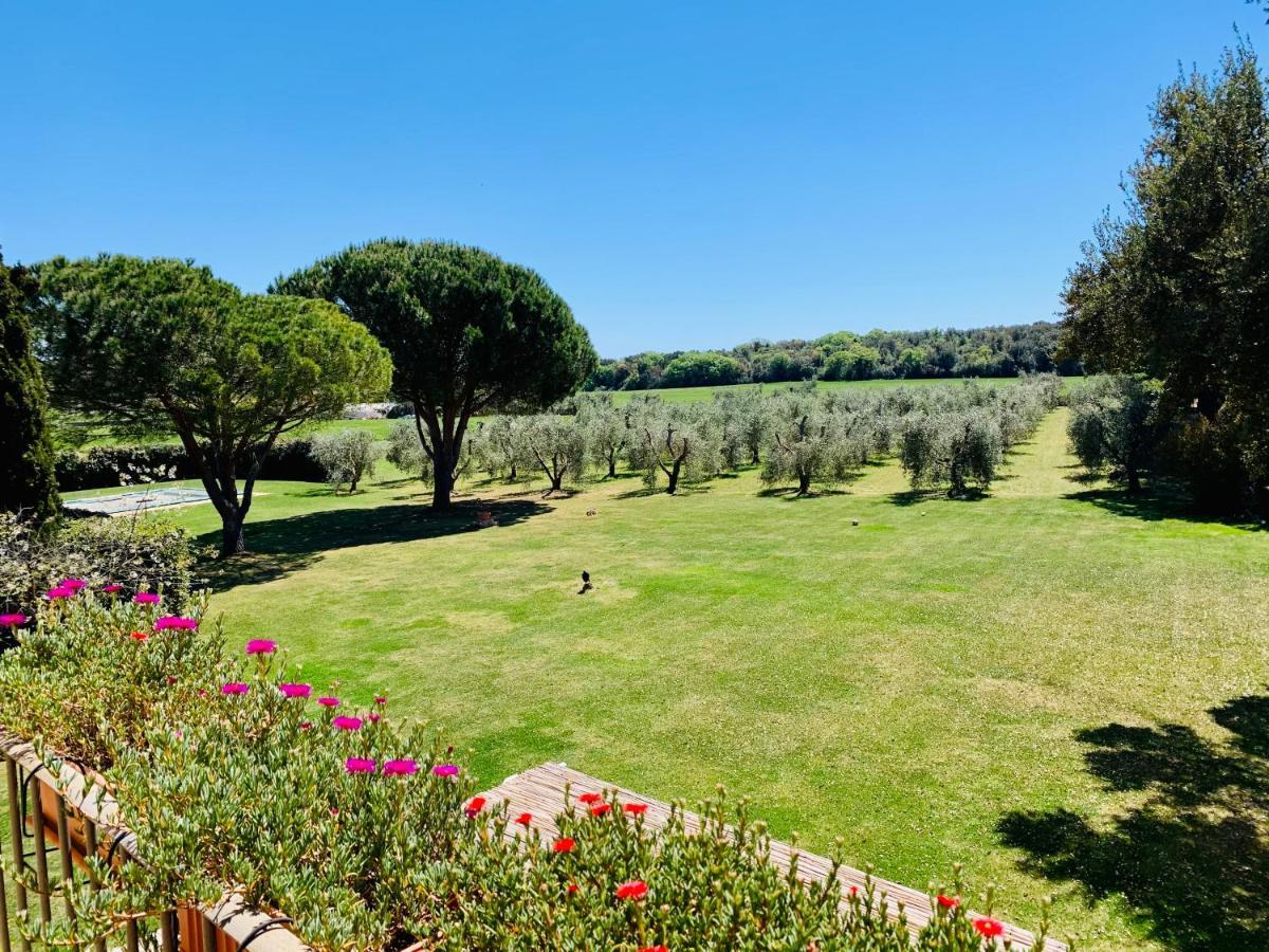 B&B Valle D'Oro Ansedonia Ngoại thất bức ảnh