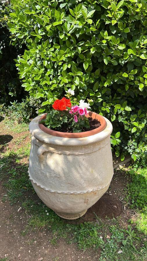 B&B Valle D'Oro Ansedonia Ngoại thất bức ảnh